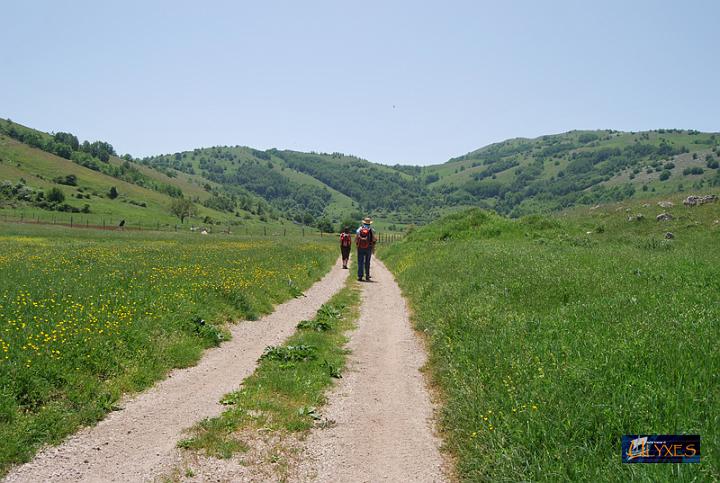 lungo i tratturi.JPG